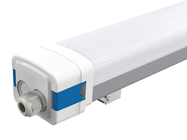 Tiết kiệm năng lượng LED Tri Proof Light 5ft IP65 IK08 PIR Dimming DALI Sensor
