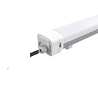 Dualrays 1-10V Dimming LED Tri Proof Light IK10 Cảm biến vi sóng CE ROHS Phê duyệt