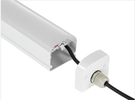 IP65 Đèn LED chống nước chống thấm nước IP65 160LM / W Dualrays D2 Series với cảm biến vi sóng