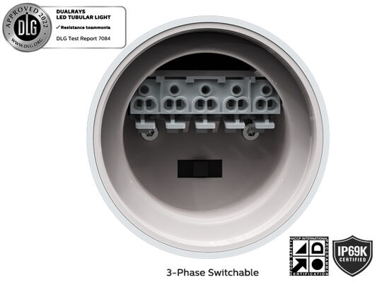 0.6m 20W TB7 đèn LED ống ánh sáng Anto-UV Amoniac cho nông nghiệp DIP chuyển động điện và 3CCT