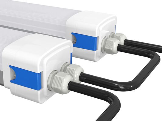 D5 Đèn chống ẩm LED với DIP Khả năng chuyển đổi và 3CCT 3/5 * 1.5 / 2.5mm2 Điện thông qua tùy chọn