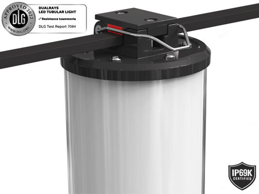 Dualrays D2 Series 50W LED Tri Proof LED trong nhà và ngoài trời Đèn LED chiếu sáng dài 160LMW 5ft