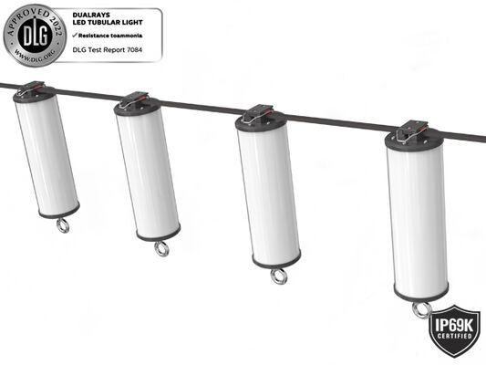 Đèn làm việc di động LED 15W IP66/IP69K 140lm/W cho chiếu sáng tạm thời và hàng hải