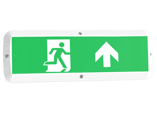 8W Bulk Head LED Porch Light với chức năng khẩn cấp và cảm biến chuyển động IP65