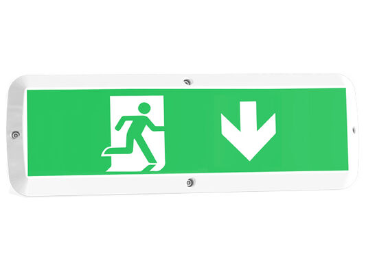 8W Bulk Head LED Porch Light với chức năng khẩn cấp và cảm biến chuyển động IP65