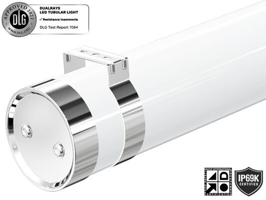 Đèn LED đầu ra 80W 15000mm Ánh sáng chống thời tiết với bảo vệ IP65