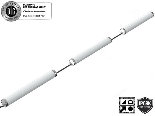 Đèn LED đầu ra 80W 15000mm Ánh sáng chống thời tiết với bảo vệ IP65