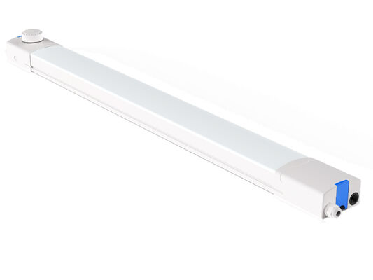Đèn LED chống ẩm D4 160LPW có sẵn 4 phích cắm khẩn cấp 4W@3HRS và 3*1.5mm2 | 5*1.5mm2 | 3*2.5mm2 | Dây 5 * 2,5mm2 cho tùy chọn