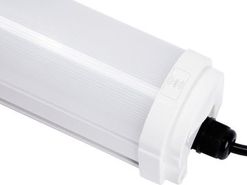 Dualrays D2 Series 50W 5ft LED mỏng 5ft Tri Proof Light 160LmW Batten nhựa đầy đủ IP65 cho bãi đậu xe