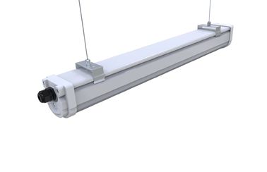 Vỏ nhựa Dualrays D2 Series 2ft 20W LED Tri Proof Light IP65 Điều khiển thông minh Tùy chọn