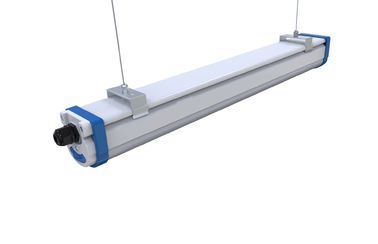 Dualrays D2 Series 40W Công nghiệp Đèn Led chống hơi nước 160LmW Đèn LED Batten Điều khiển làm mờ 0 đến 10V