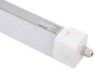 Dualrays D5 50W 5 ft Epistar Led Tri Proof Light IP66 IK10 LED chống cháy nổ Hiệu quả 160lmw
