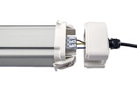 Dualrays D5 Series 2ft 20W Vỏ nhựa Bóng đèn LED Tri Proof IP66 IK10 Boke Nguồn cung cấp với cảm biến vi sóng