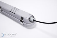 ROHS LM80 Đèn LED chống thấm nước Tri bằng chứng cho gia cầm Đồ đạc tùy chỉnh