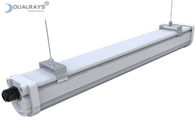 Dualrays D2 Series 50W LED Công nghiệp Tri Proof Light 5ft Cảm biến vi sóng Vỏ nhựa đầy đủ cho trung tâm triển lãm