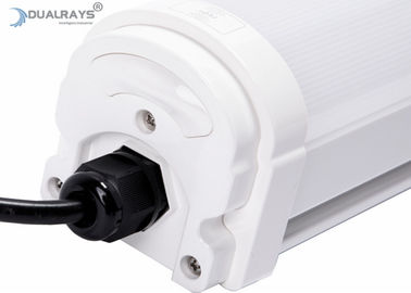 Dualrays D2 Series 40W Công nghiệp Đèn Led chống hơi nước 160LmW Đèn LED Batten Điều khiển làm mờ 0 đến 10V