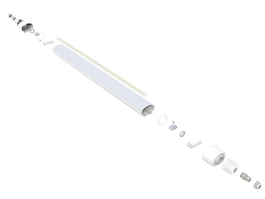 Dualrays D2 Sê-ri 50 Watt Hội thảo 5ft bằng hơi nước Đèn LED chiếu sáng chống thấm 160LMW IP65 IK10