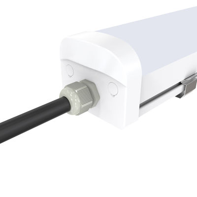 5ft 50W Đèn LED cổ điển Tri bằng chứng cho Chiếu sáng kho hàng