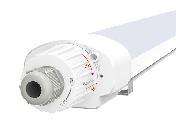 Dualrays D2 Sê-ri 50 Watt Hội thảo 5ft bằng hơi nước Đèn LED chiếu sáng chống thấm 160LMW IP65 IK10