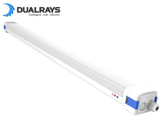 Đèn chống ẩm LED 5ft/62W D5 với nguồn chuyển đổi DIP/3CCT 160LPW Hiệu suất Bảo hành 5 năm