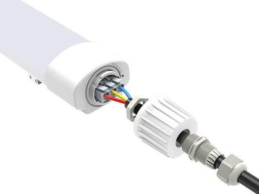 Ánh sáng bằng nhựa đầy đủ Tri bằng nhựa 36W D2 IP65 Đèn LED chống hơi nước IP65 IK08 cho dự án bán buôn